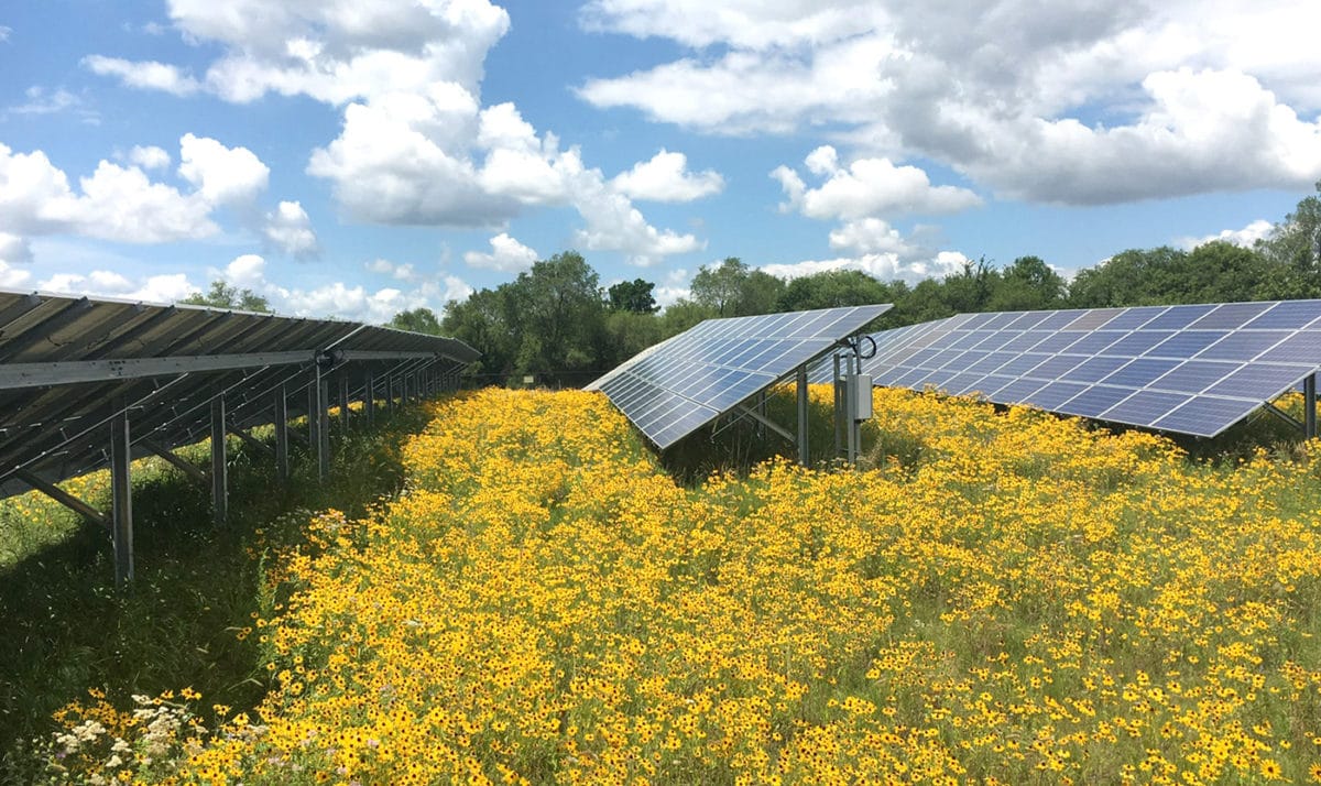 Local Solar Farm